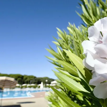 Isa-apartments 4 Beds In With Swimming-pool In San Vincenzo, Just 600 Meters From The Sea *